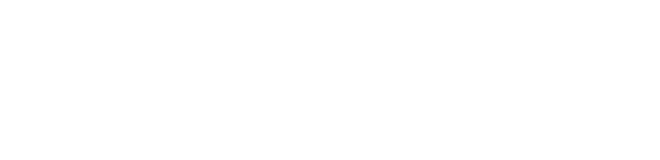 AgilityInsights-White-Logo (1)